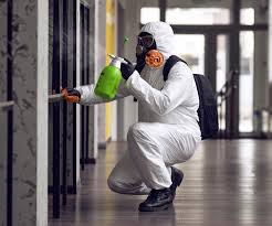 Why You Should Choose Our Mold Remediation Services in Yorktown, IN